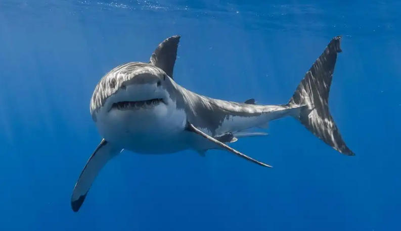 四川嘉裕福華商貿有限公司輪播圖1