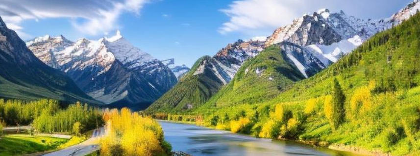 四川嘉裕福華商貿(mào)有限公司輪播圖3